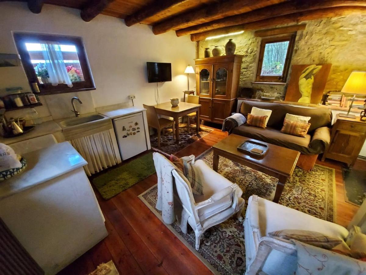 El Solei Paraiso En El Montseny Arbucies Bagian luar foto