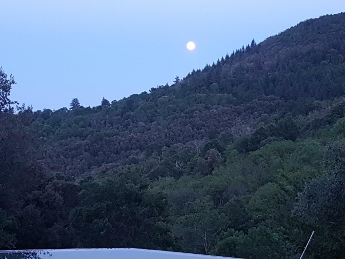 El Solei Paraiso En El Montseny Arbucies Bagian luar foto