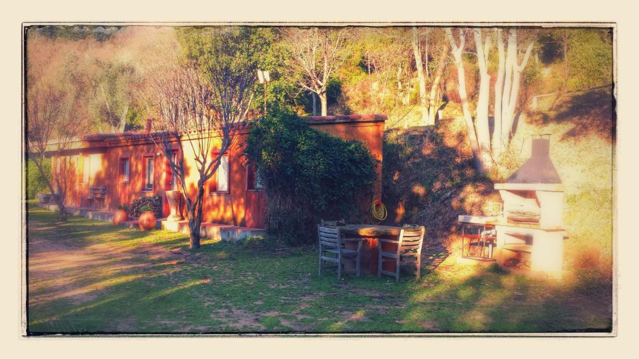 El Solei Paraiso En El Montseny Arbucies Bagian luar foto