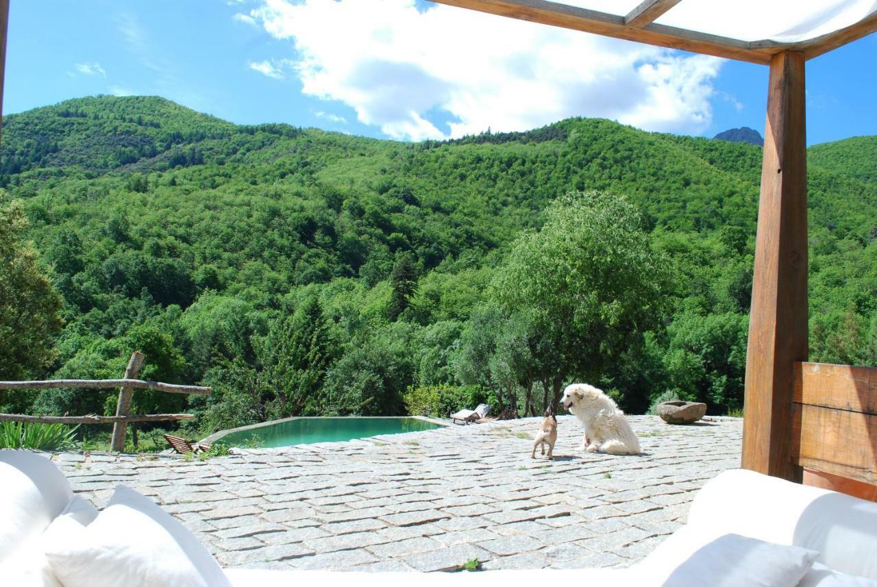 El Solei Paraiso En El Montseny Arbucies Bagian luar foto