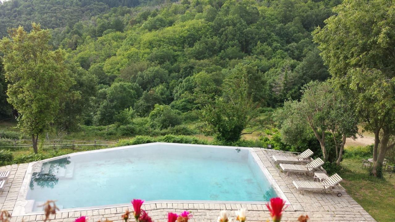 El Solei Paraiso En El Montseny Arbucies Bagian luar foto